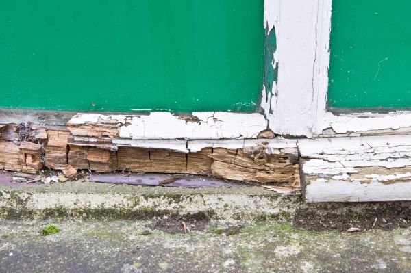 Vancouver Wood Rot Repair