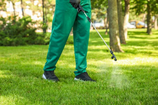 Vancouver Lawn Treatment